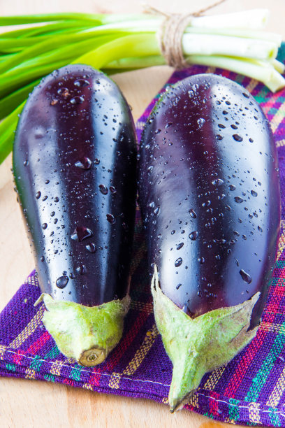 两个新鲜茄子和一串青葱图片下载