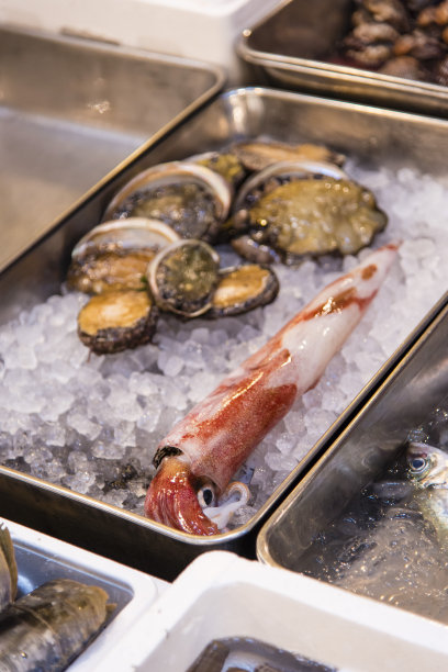 筑地鱿鱼图片下载