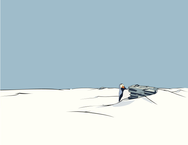 艾因萨姆·平金图片下载