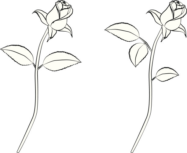 玫瑰的艺术图片下载