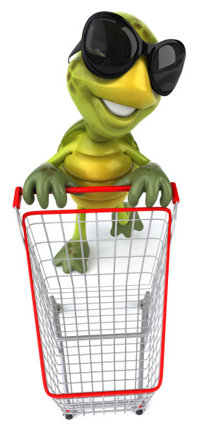 有趣的海龟图片下载