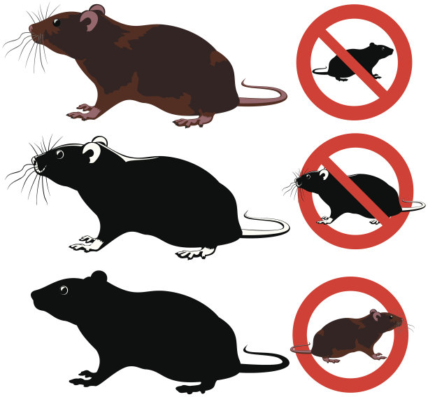 老鼠，啮齿类动物的警告标志图片下载