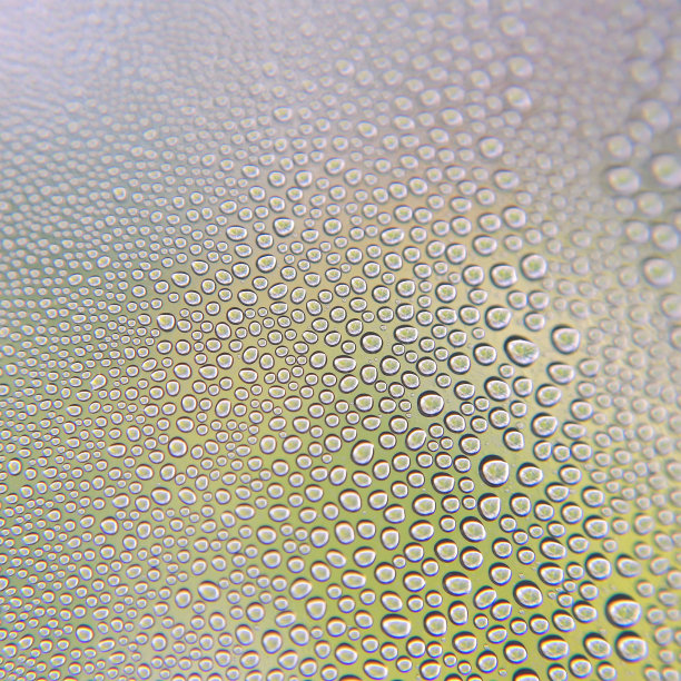 几滴水滴在玻璃杯上图片下载