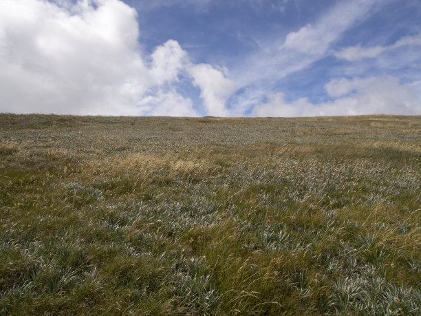 秋天草木山与蓝天水平图片下载
