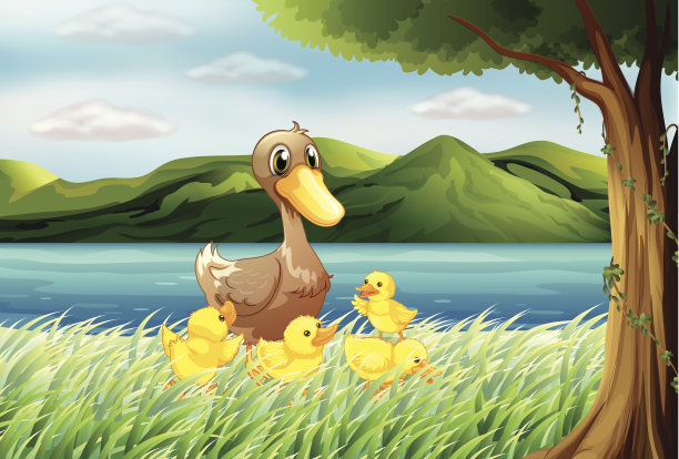 五只鸭子在河边素材图片