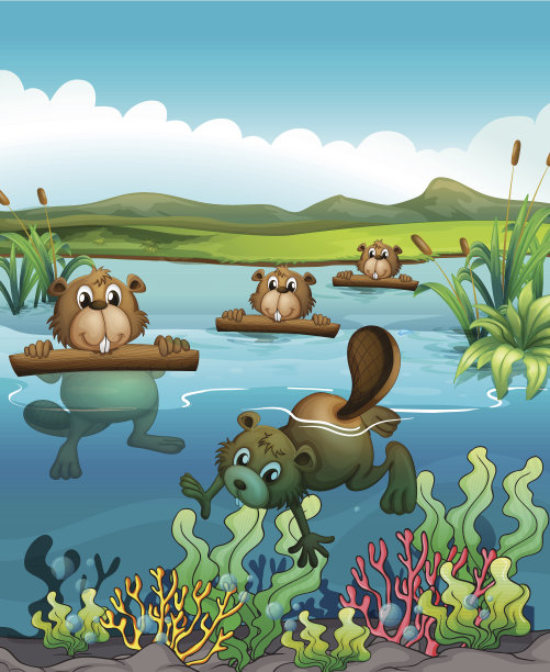 四只海狸在河里玩耍图片下载