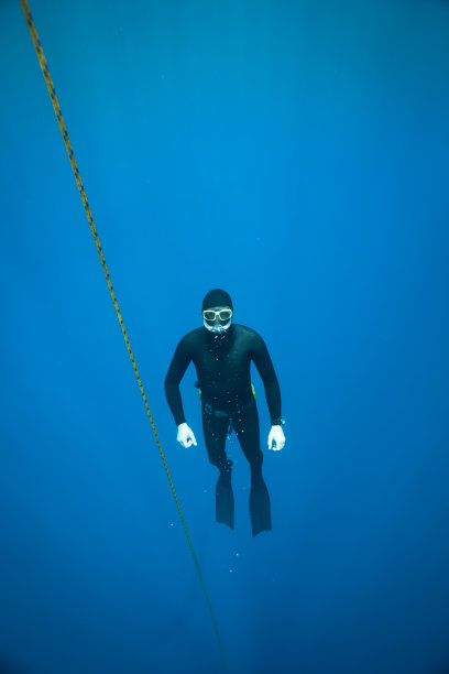 海洋中的自由潜水训练图片下载