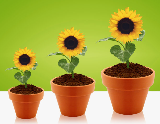 日益增长的概念图片下载