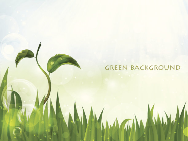 夏天的背景图片下载