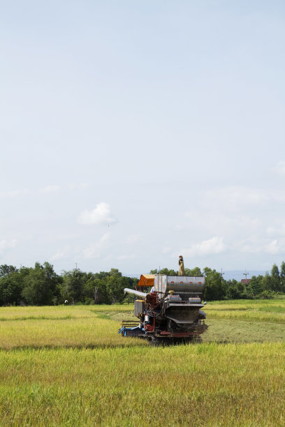 机械收割水稻，泰国图片下载