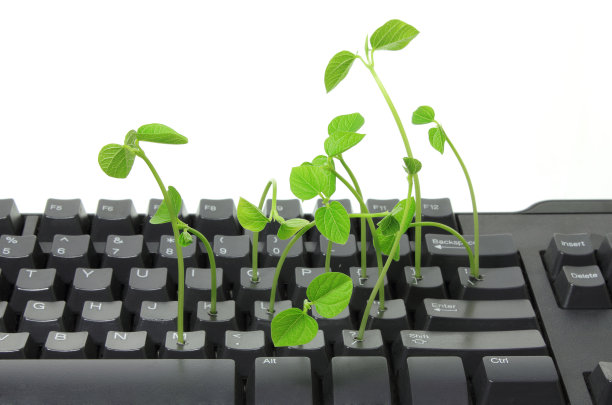 键盘和豆芽图片下载