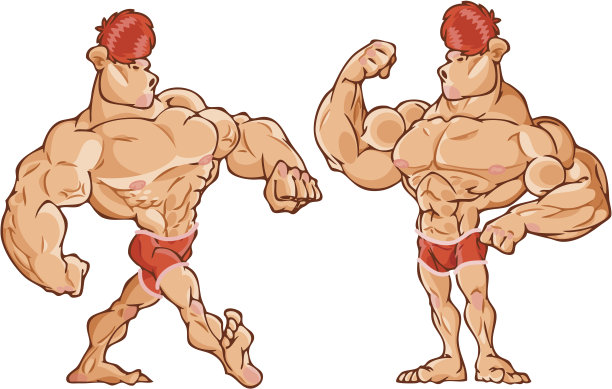 健美运动员图片下载