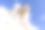 两个女孩骑在马上图片下载