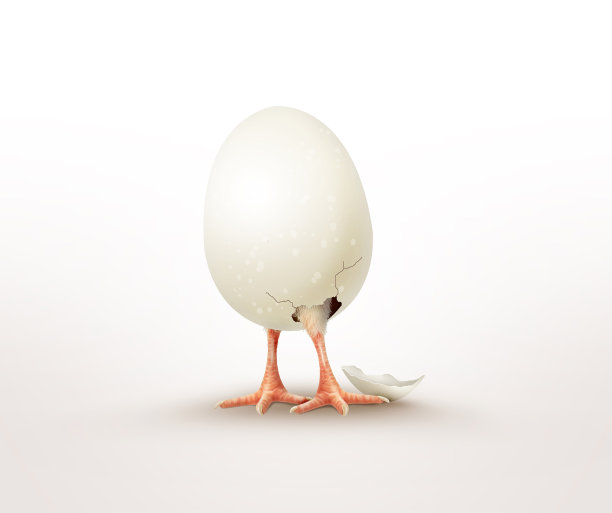 新生活图片下载