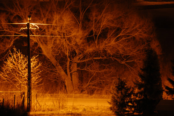 在晚上图片下载