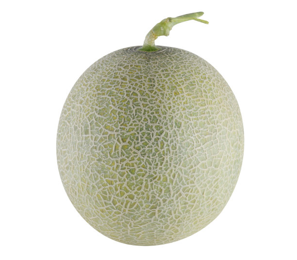 在白色背景上孤立的甜瓜图片下载