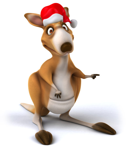 有趣的袋鼠图片下载