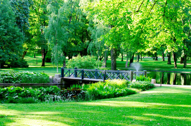 公园里的桥图片下载