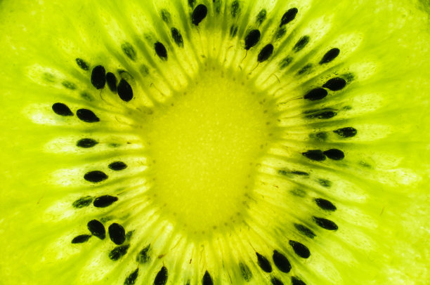 猕猴桃图片下载