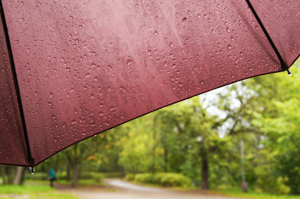 伞和公园图片下载