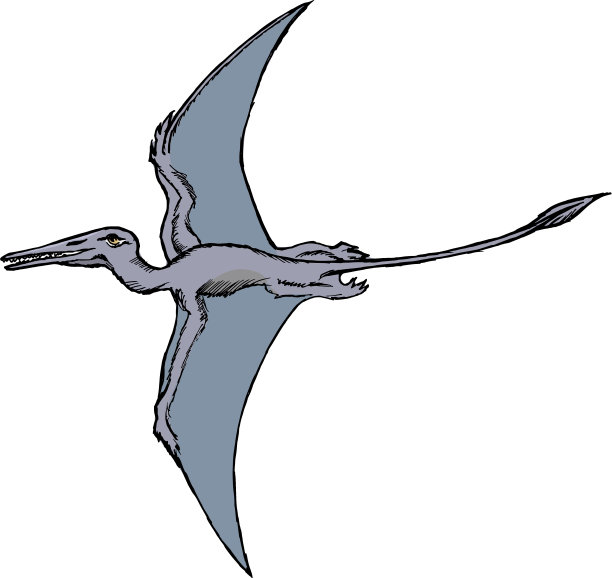 翼手龙素材图片