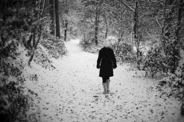 一个孤独的身影在白雪覆盖的树林里行走图片下载