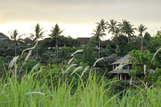 热带岛屿的黄昏时分图片下载