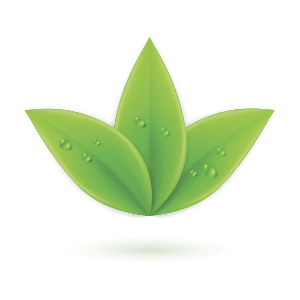 绿色的树叶。图片下载