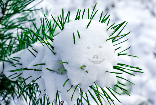 第一个图片下载