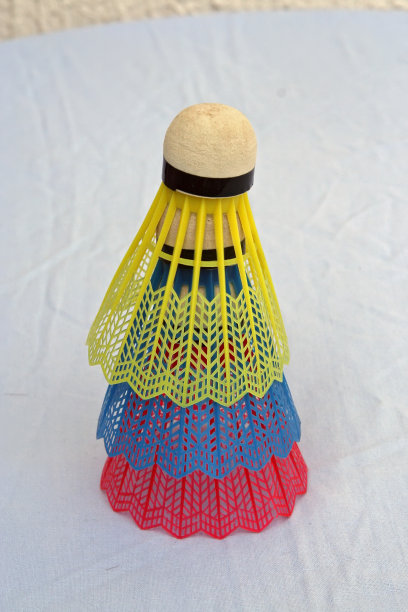 羽毛球图片下载