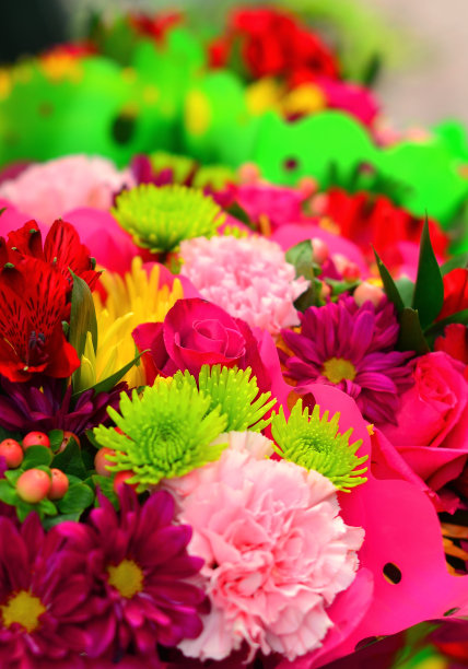 展出的野花花束图片下载