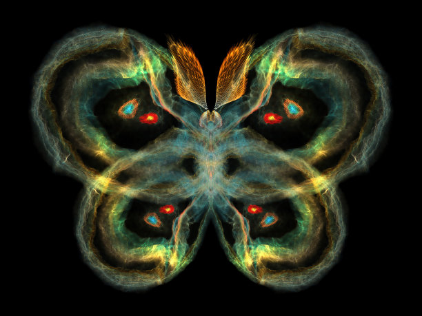 色彩斑斓的蝴蝶图片下载