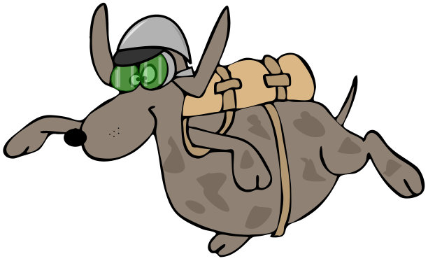 跳伞的狗图片下载