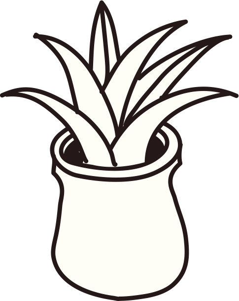 花盆立在图片下载