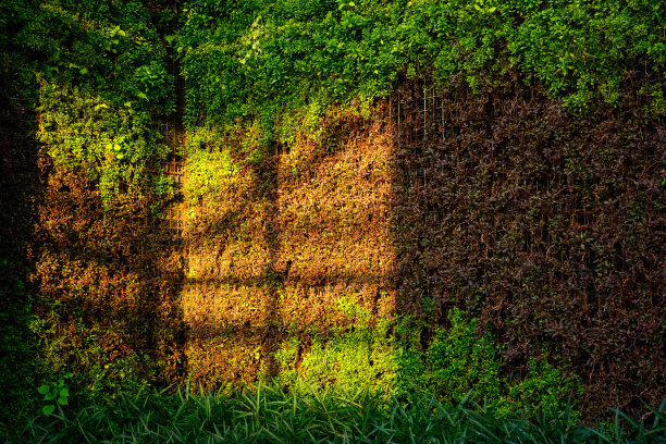 温室园艺图片下载