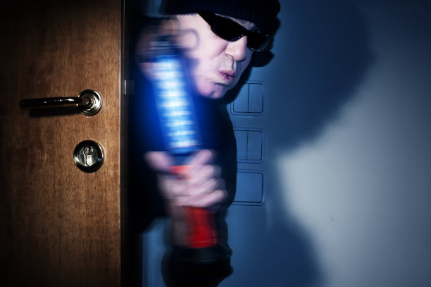 房子里的小偷图片下载