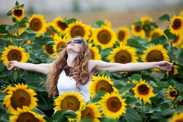 向日葵地里的漂亮姑娘图片下载