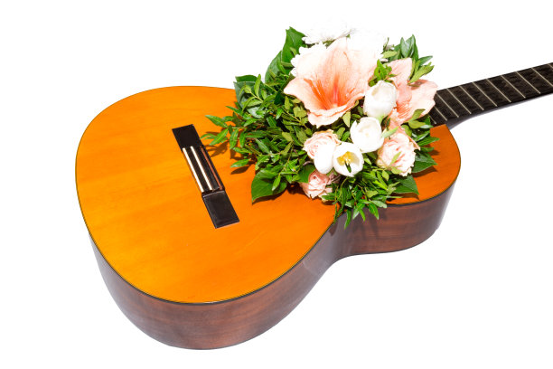 布鲁门吉塔雷图片下载