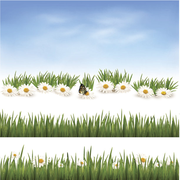 收集绿草背景图片下载