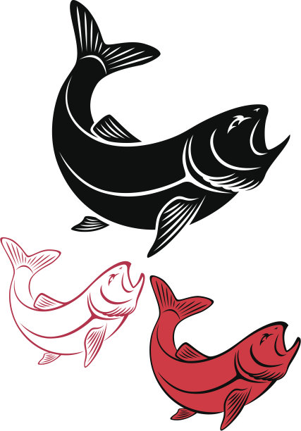 三条鳟鱼的插图，黑色，红色和白色图片下载