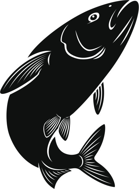 鲱鱼鱼图片下载