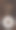 海报咖啡色深棕色的木色。菜单。图片下载