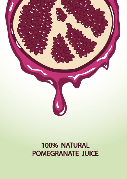 石榴和果汁溅的插图图片下载