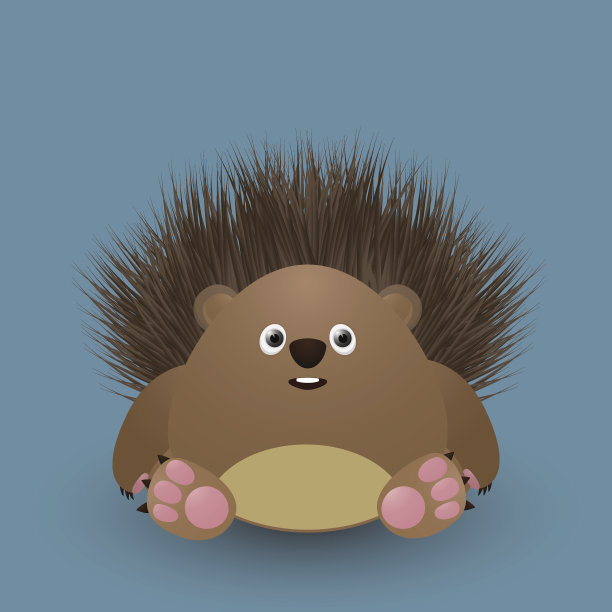 可爱的小刺猬图片下载