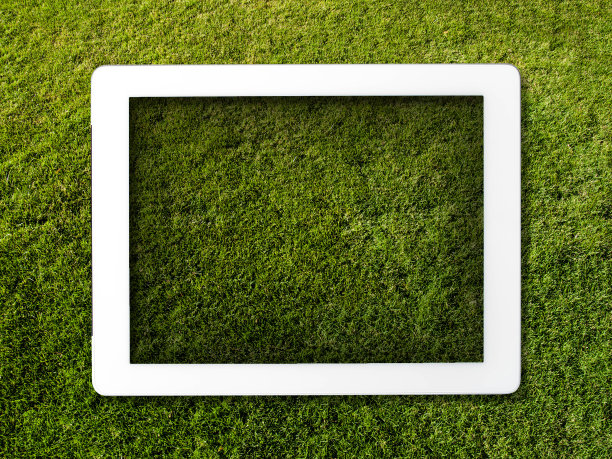 石板躺在草地上图片下载