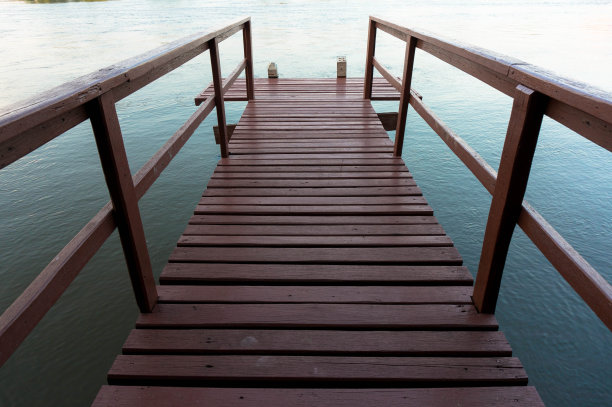 树木繁茂的桥图片下载