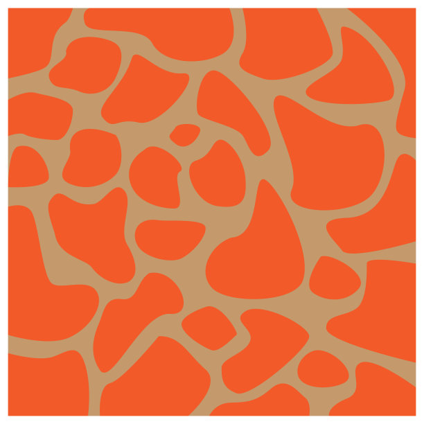 动物皮肤模式图片下载