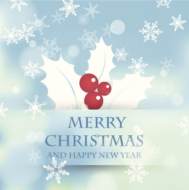 冬青的天空图片下载