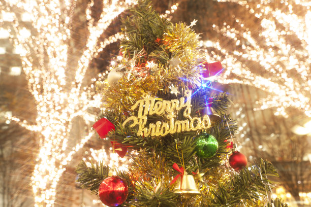 圣诞树图片下载