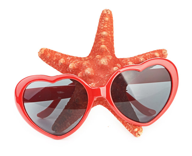 海星和太阳气体图片下载